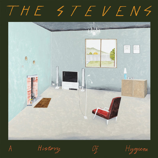 THE STEVENS - "A HISTORY OF HYGIENE" LP