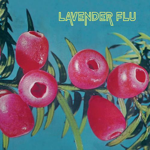 LAVENDER FLU - "MOW THE GLASS" LP