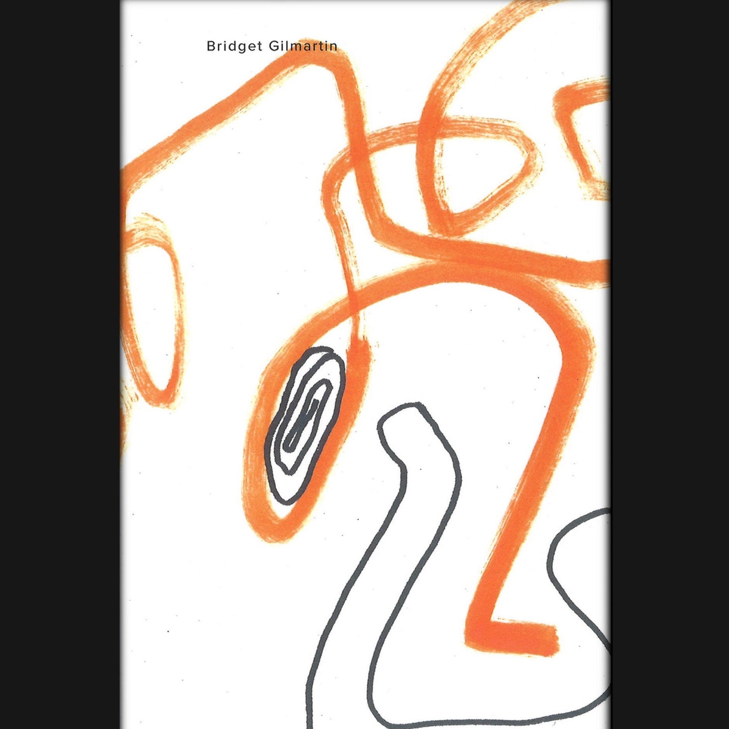 BRIDGET GILMARTIN - "STRANGE ANIMALS" BOOK – Lulu's Melbourne