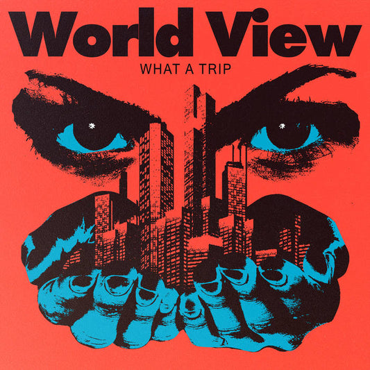 WORLD VIEW - "WHAT A TRIP" LP