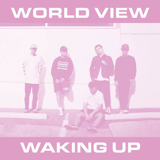 WORLD VIEW - "WAKING UP" 7"
