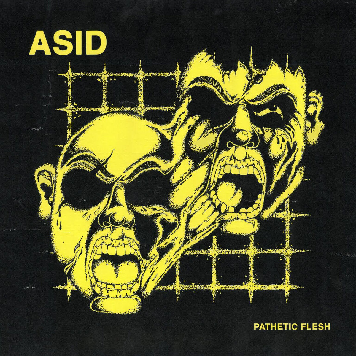 ASID - "PATHETIC FLESH" LP