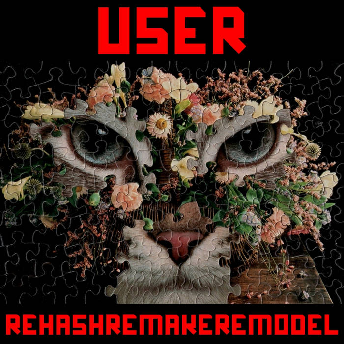 USER - "REHASH REMAKE REMODEL" LP