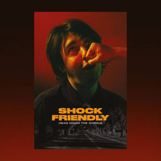 SHOCK FRIENDLY - "HEAD DOWN THE AVENUE" LP