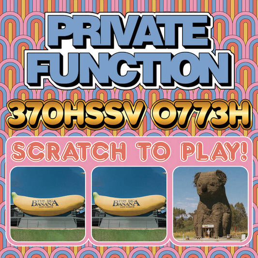 PRIVATE FUNCTION - "370HSSV 0773H" LP