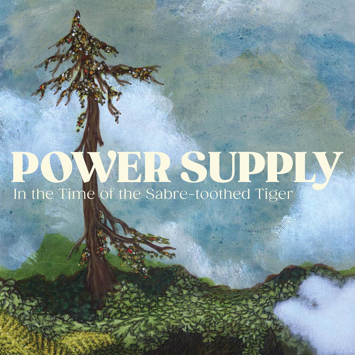 POWER SUPPLY - "IN THE TIME OF THE SABRE-TOOTHED TIGER" LP