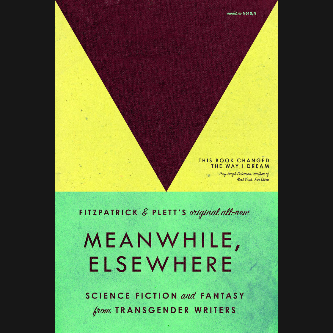 CAT FITZPATRICK & CASEY PLETT (ED.) - "MEANWHILE, ELSEWHERE: SCIENCE FICTION & FANTASY FROM TRANSGENDER WRITERS" BOOK