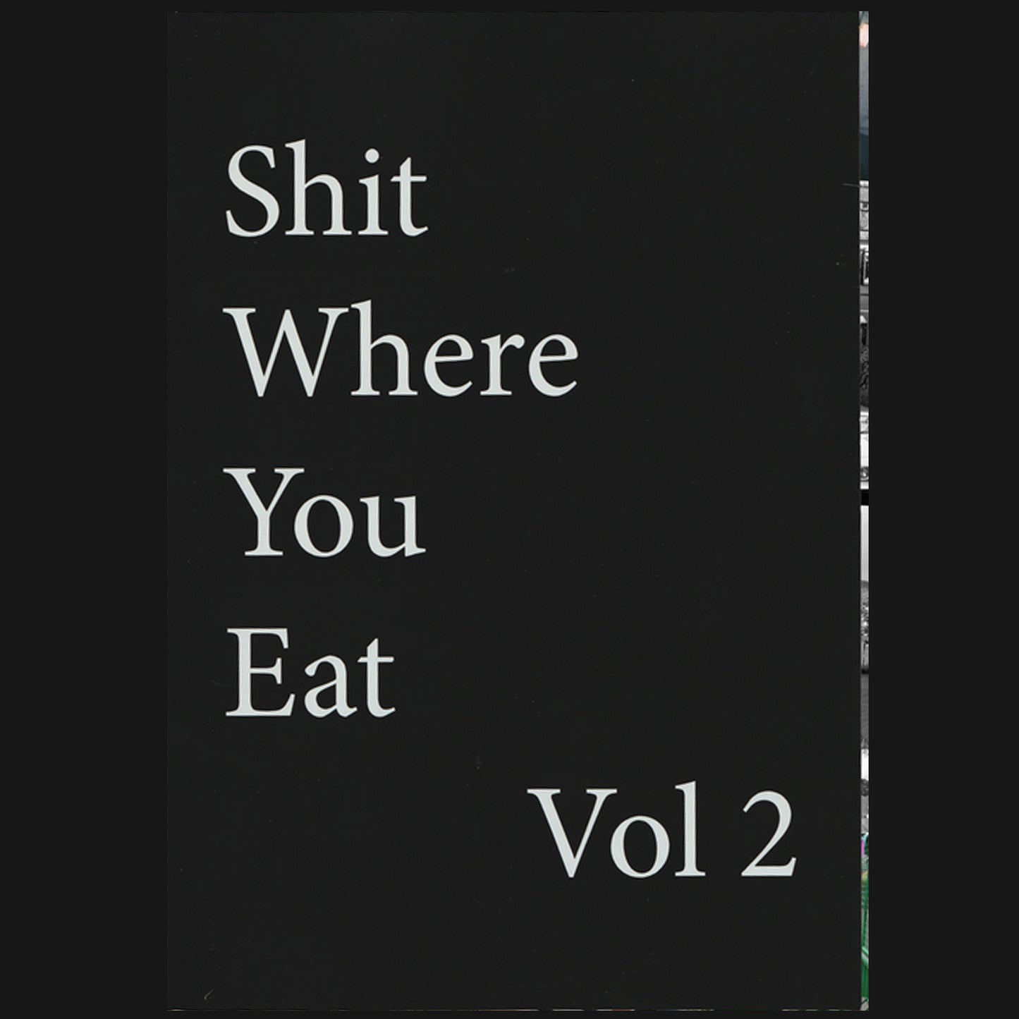 HOMEWRECKER - "SHIT WHERE YOU EAT VOL.2" ZINE