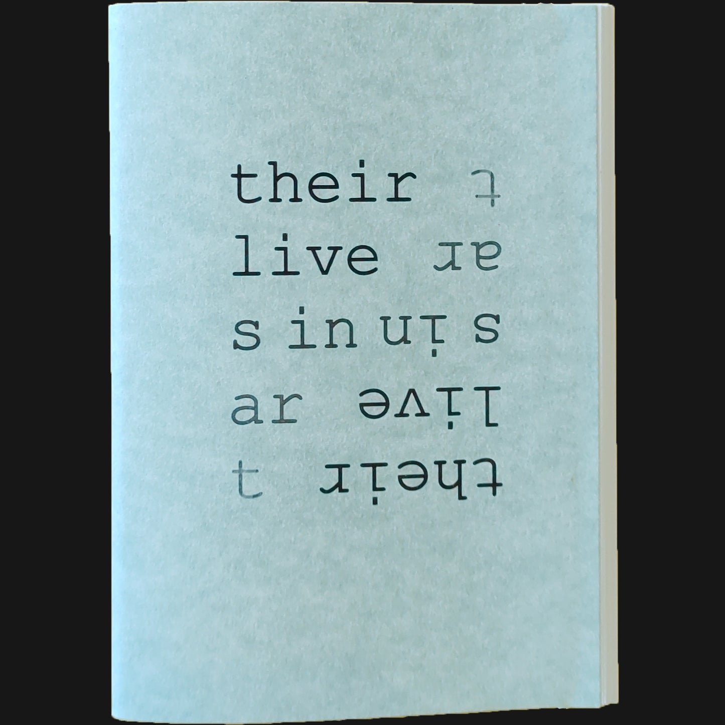 THE FINKS - "THEIR LIVES IN ART" ZINE/DL